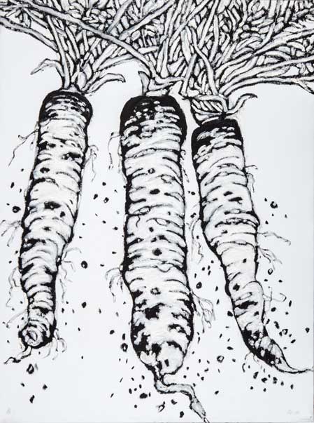 Carrots | 30" x 40", oil and oil stick on canvas, 1995